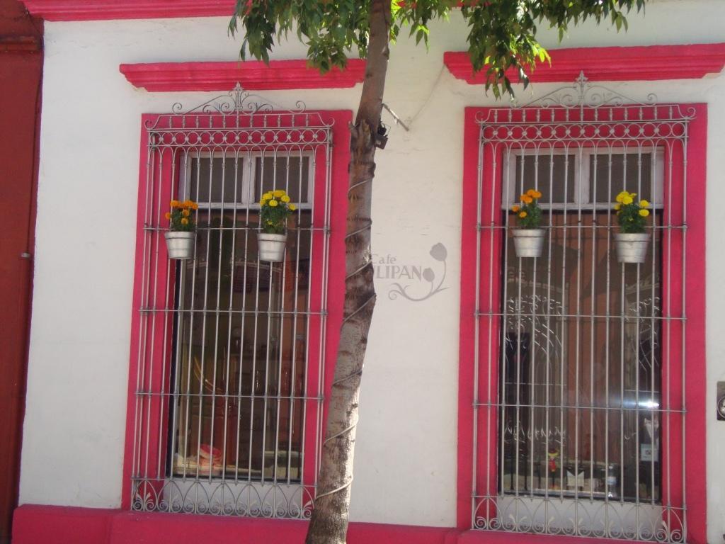 Hotel Posada Yagul Oaxaca Exterior foto